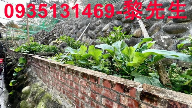 新竹農地-9