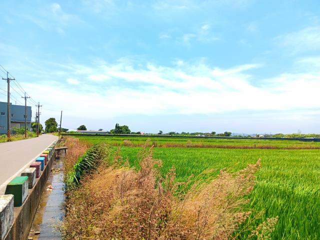 桃園新屋農地-3