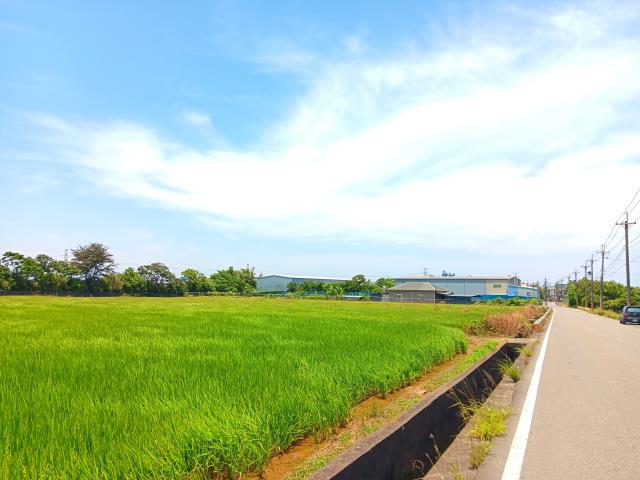 桃園新屋農地-6