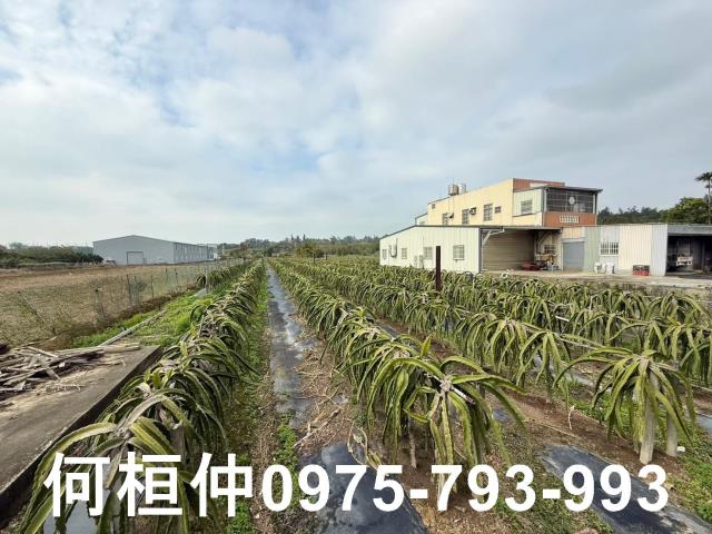 苗栗竹南農地-2