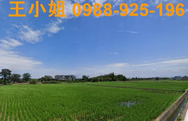 桃園大園農地-2