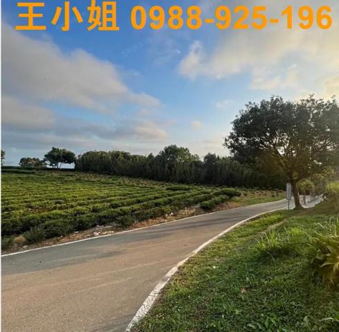 桃園龍潭農地-1