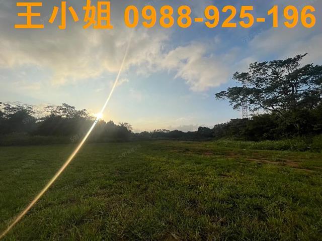 桃園龍潭農地-2