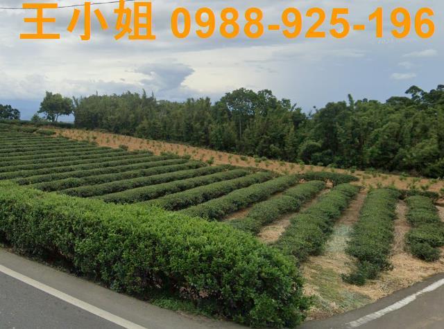 桃園龍潭農地-3