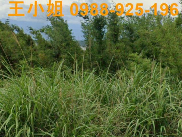 桃園龍潭農地-5