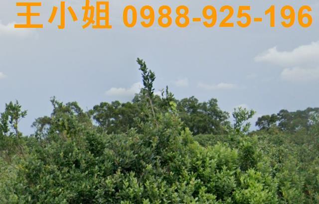 桃園龍潭農地-6