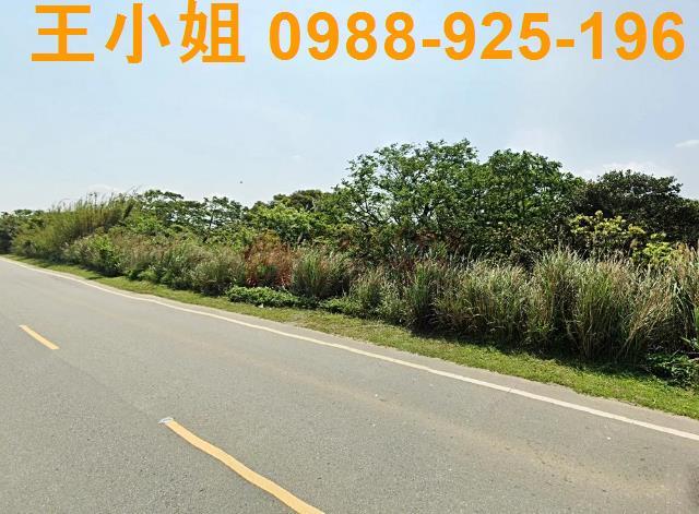 桃園龍潭農地-9