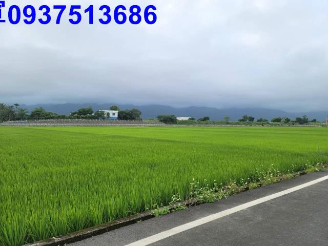 宜蘭礁溪農地-13