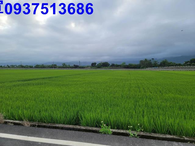 宜蘭礁溪農地-15