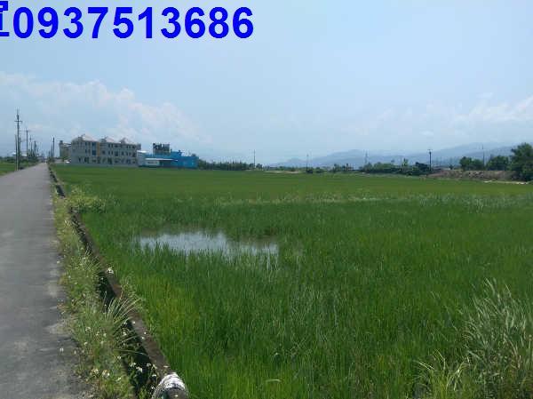 宜蘭礁溪農地-2