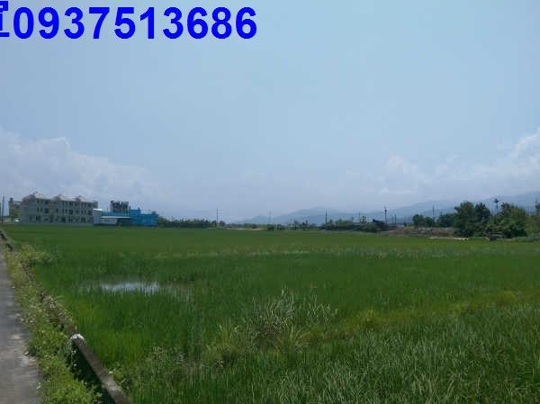 宜蘭礁溪農地-8