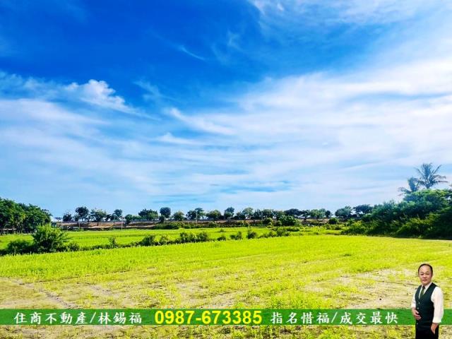 台南農地-2