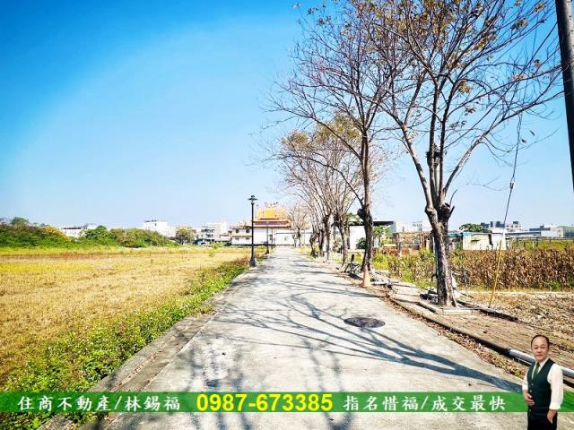 台南農地-5
