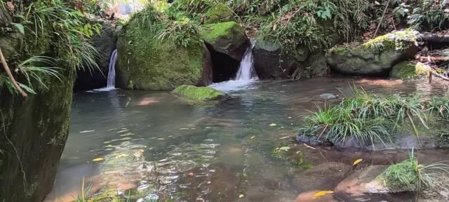 新竹農地-12