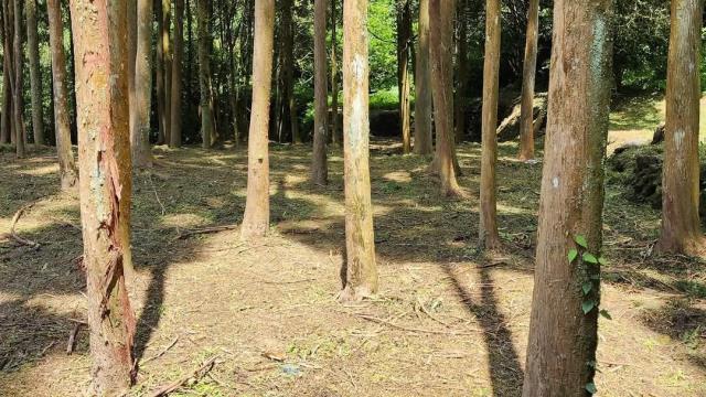 新竹農地-2