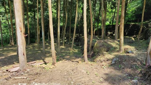 新竹農地-5