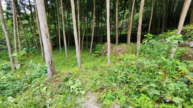 新竹農地-9