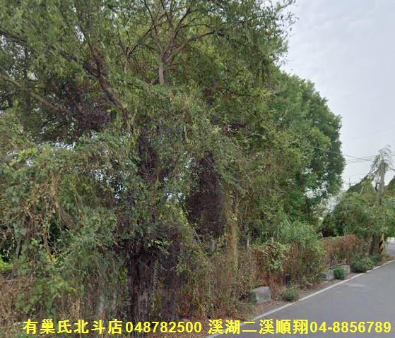 田尾農地-5
