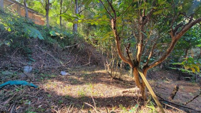 北埔農地-2