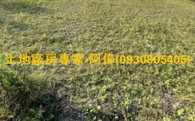 高雄大寮農地-1