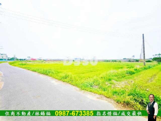 台南仁德農地-10