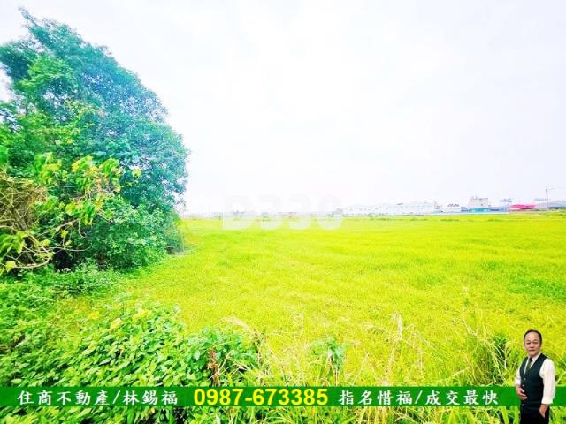 台南仁德農地-2
