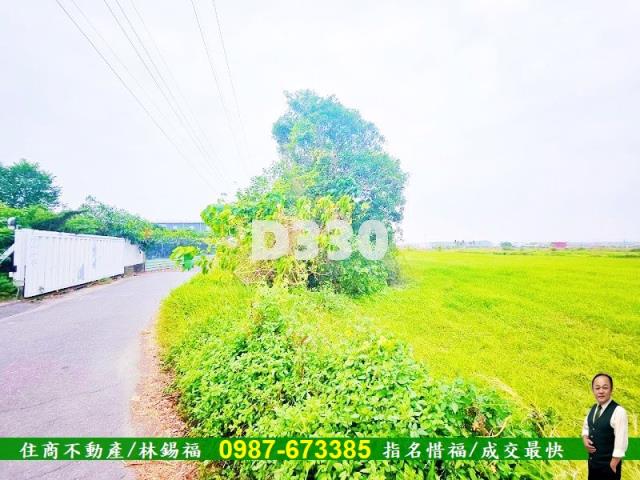 台南仁德農地-3