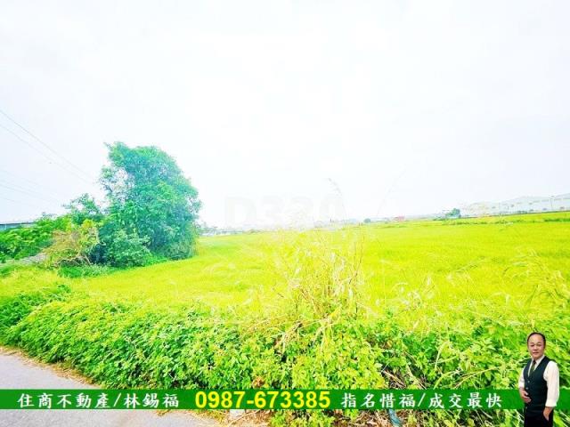 台南仁德農地-7