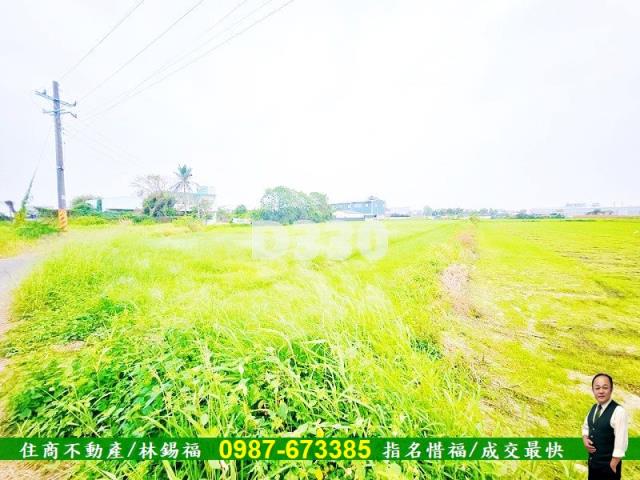 台南仁德農地-8