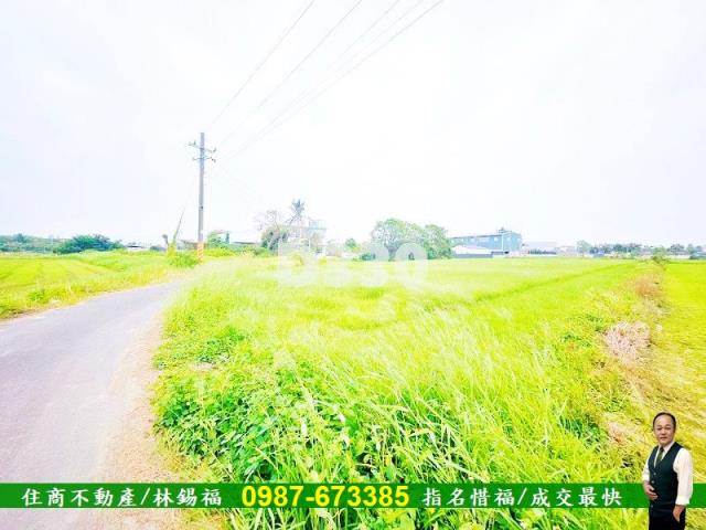 台南仁德農地-9