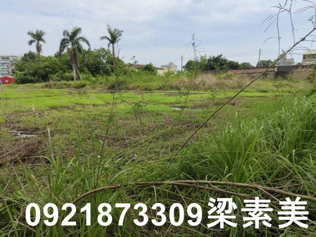 台南新市農地-5
