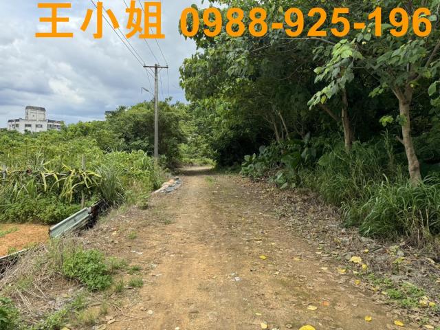 桃園區農地-2