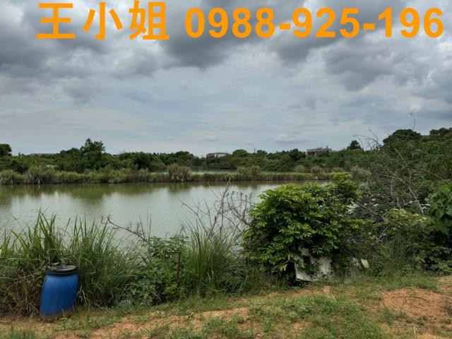 桃園區農地-5