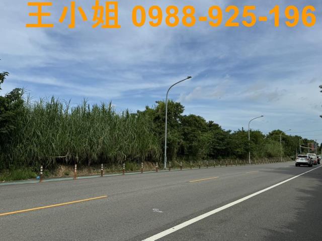 桃園區農地-9