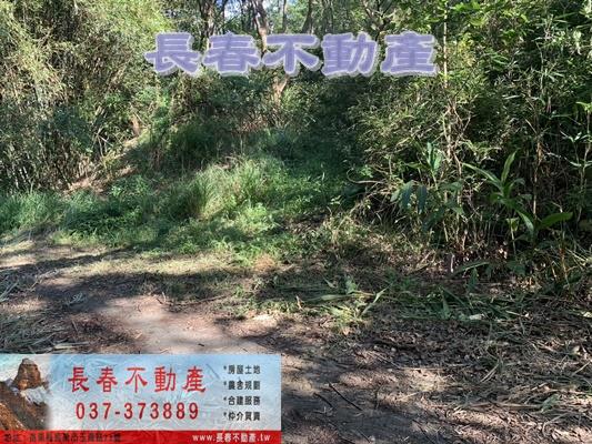 苗栗市農地-13