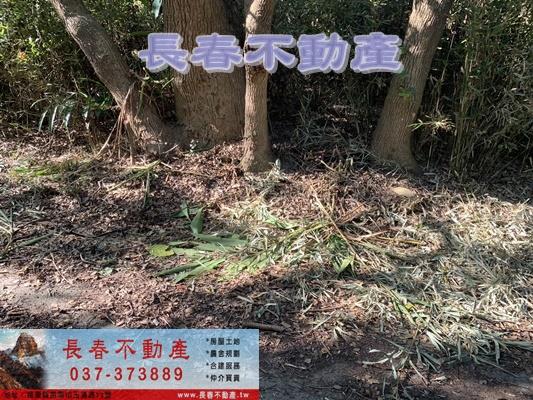 苗栗市農地-14