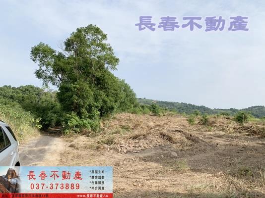 苗栗市農地-2