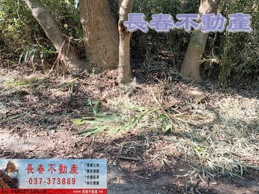 苗栗市農地-3