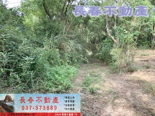 苗栗市農地-4
