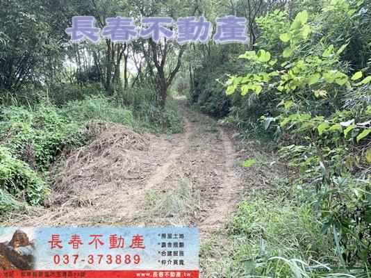 苗栗市農地-5