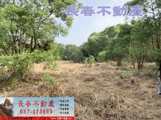 苗栗市農地-6