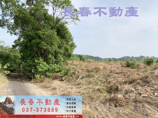 苗栗市農地-7