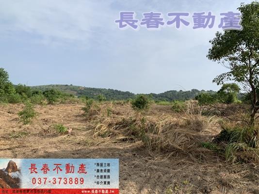 苗栗市農地-9