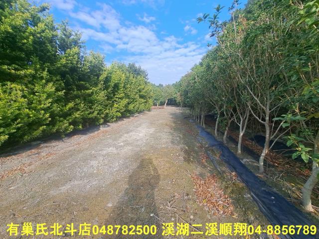 彰化農地-4