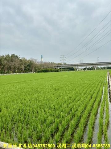 彰化農地-3