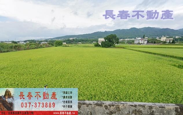 銅鑼農地-1