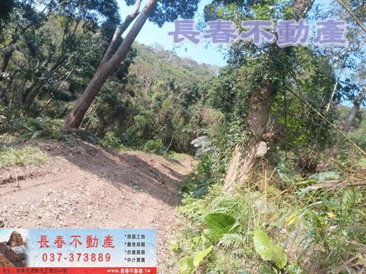 三義農地-2