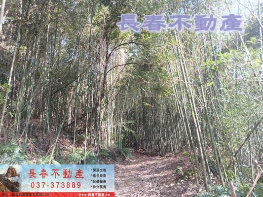 三義農地-3