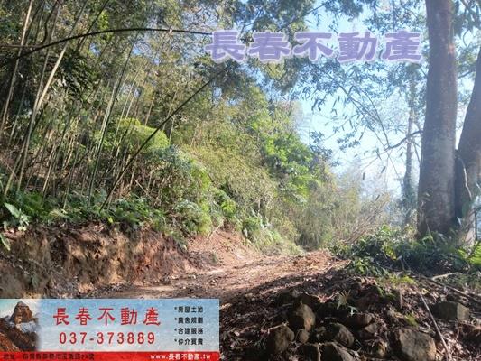 三義農地-4