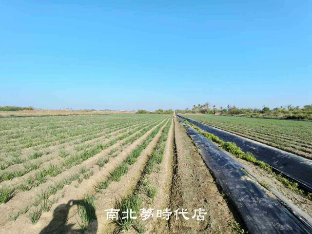 安南農地-8